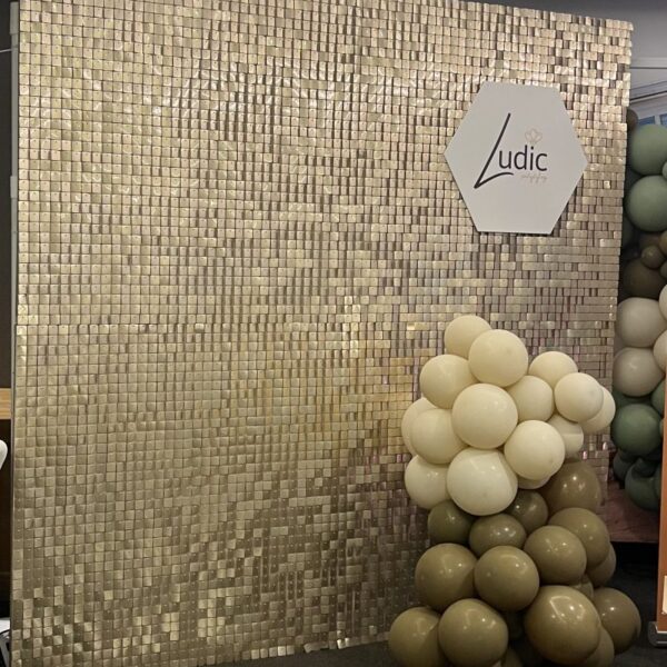 Backdrop / Fotovägg / Glittervägg